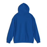 Benedetto Castelli - Hoodie