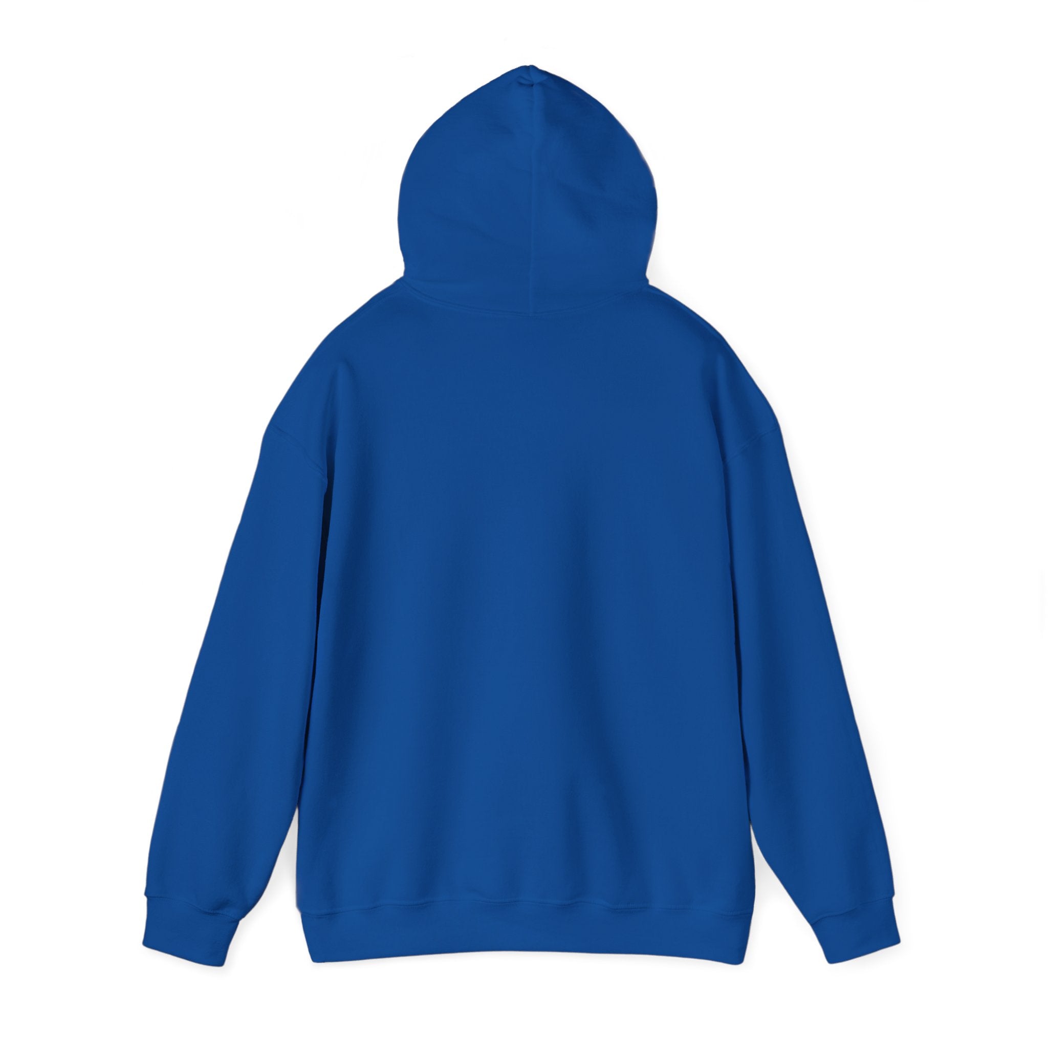 Benedetto Castelli - Hoodie